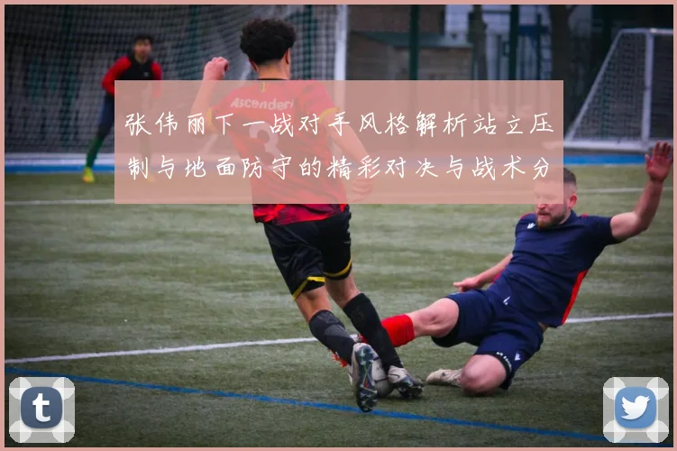 张伟丽下一战对手风格解析站立压制与地面防守的精彩对决与战术分析