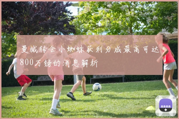 曼城转会小蜘蛛获利分成最高可达800万镑的消息解析